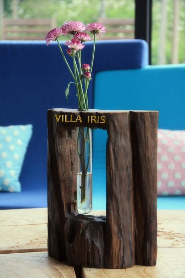 Villa Iris Baisha Экстерьер фото